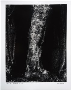 Image description is not available for 2024.087